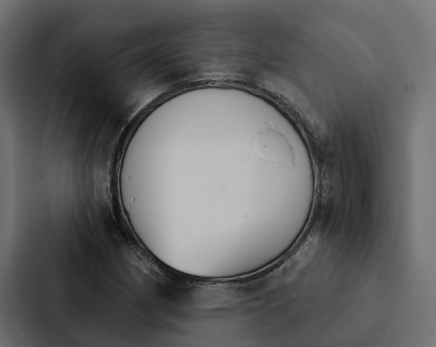 X0000087041162200705160922