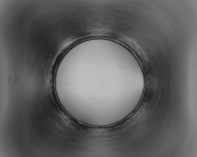 X0000087041164200705160922
