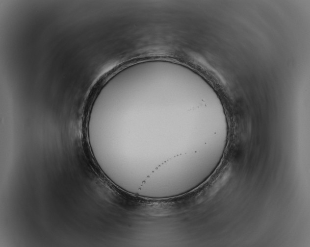 X0000087041166200705160922