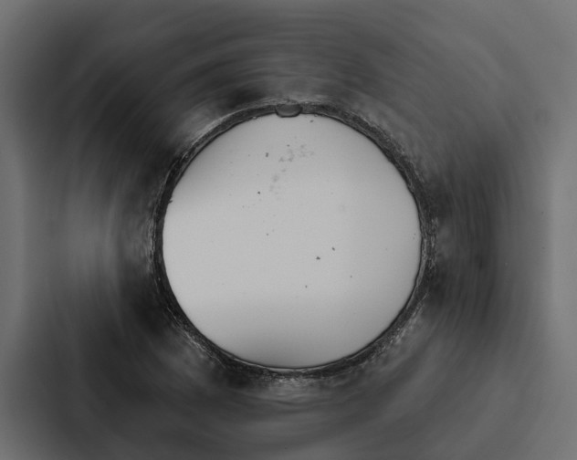 X0000087041169200705160922