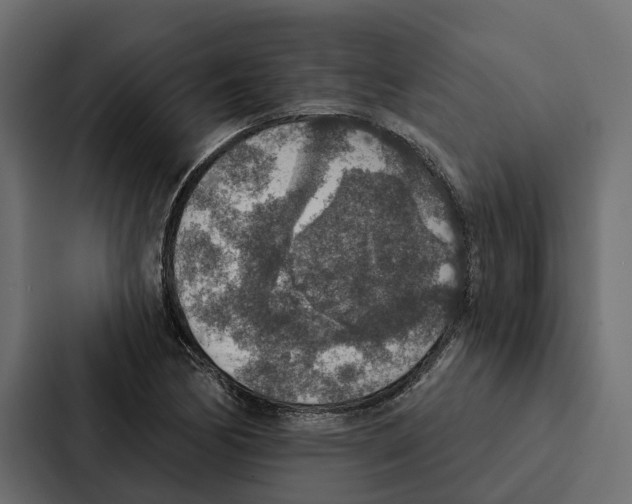 X0000087041170200705160922