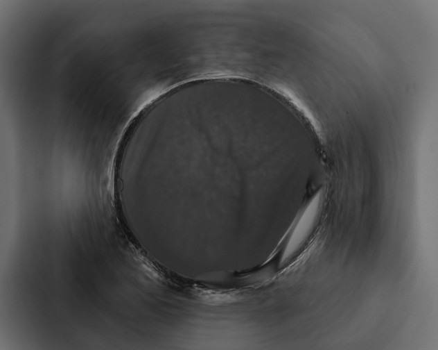 X0000087041173200705160922