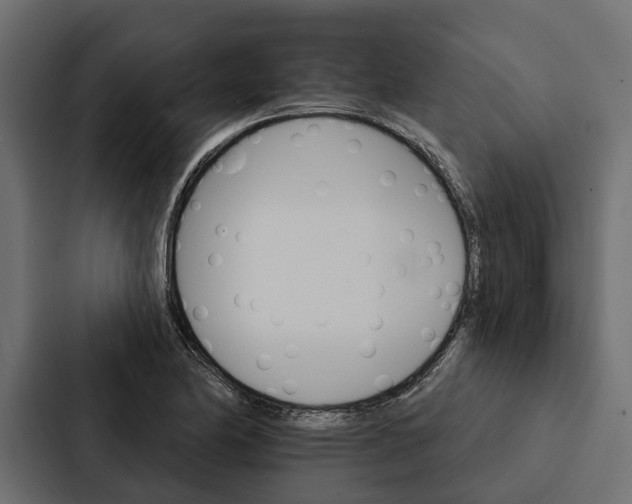 X0000087041174200705160922
