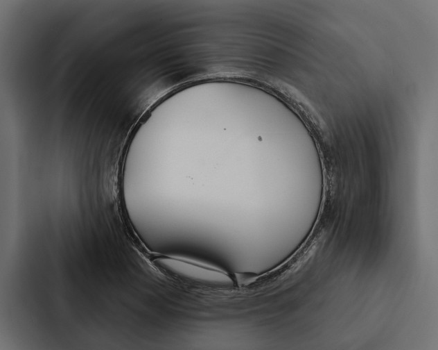 X0000087041177200705160922