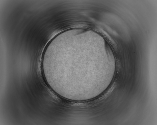 X0000087041178200705160922