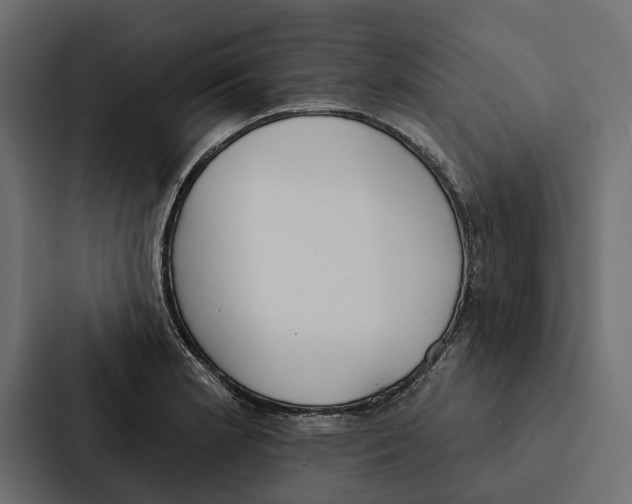 X0000087041181200705160922