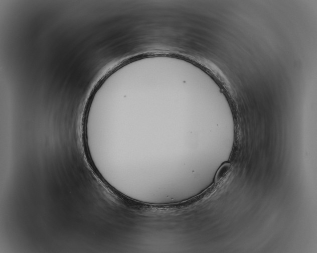 X0000087041183200705160922
