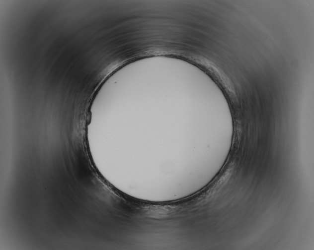 X0000087041185200705160922