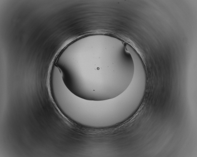 X0000087041187200705160922