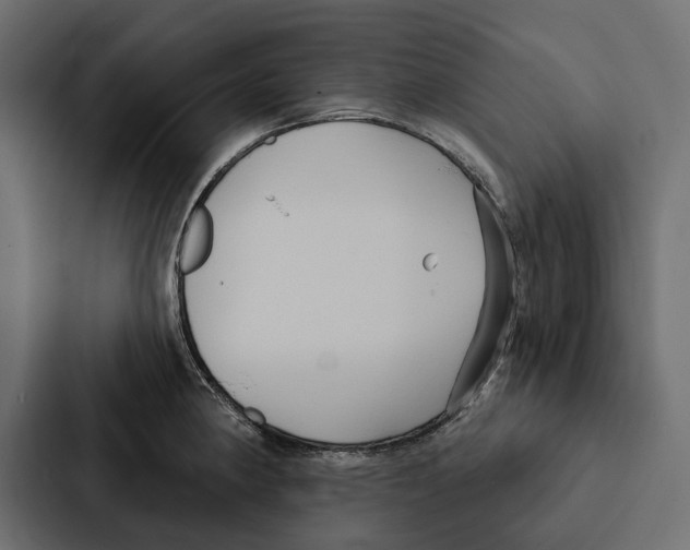 X0000087041190200705160922