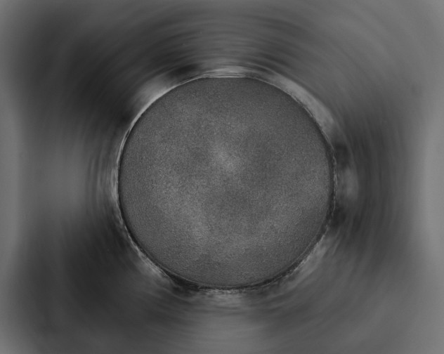 X0000087041194200705160921