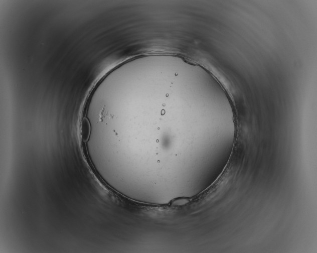 X0000087041195200705160921