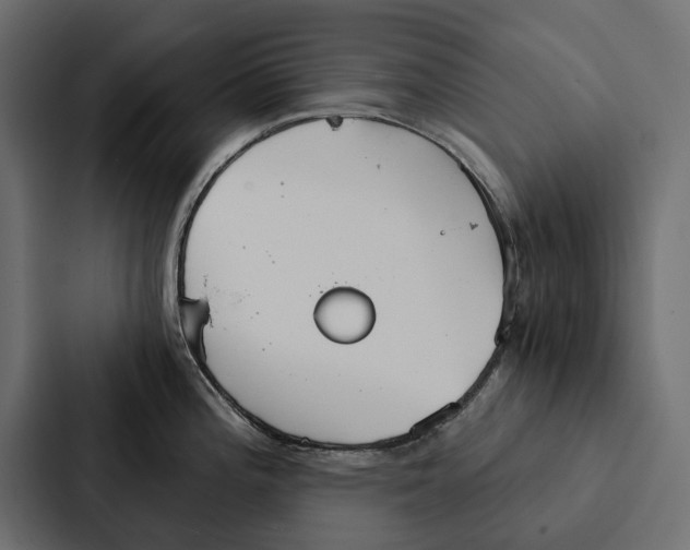 X0000087041196200705160921