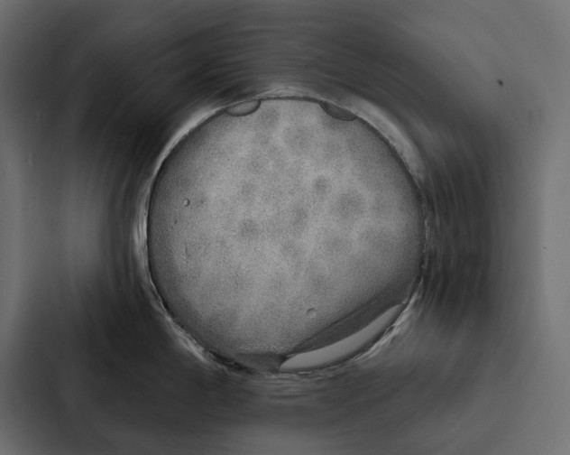 X0000087041198200705160921