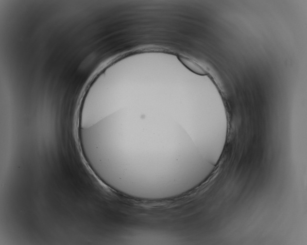 X0000087041199200705160921