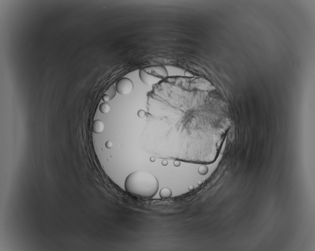 X0000087041201200705160921