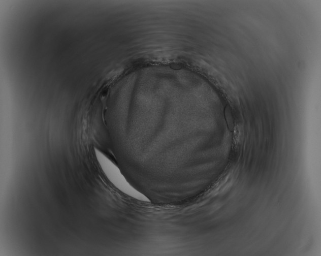 X0000087041202200705160921