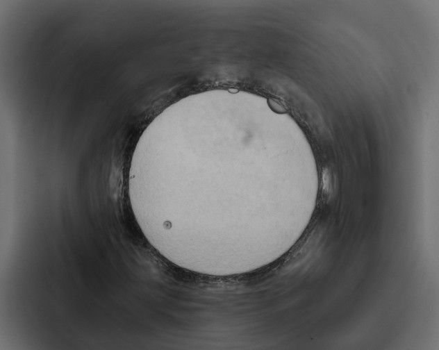 X0000087041203200705160921