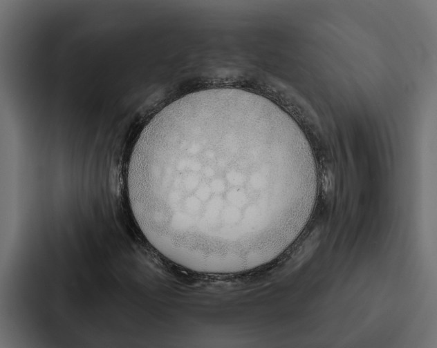 X0000087041204200705160921