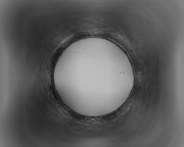 X0000087041205200705160921