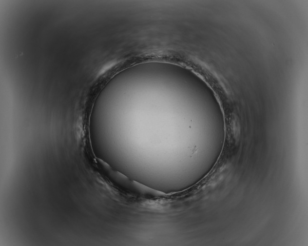 X0000087041206200705160921