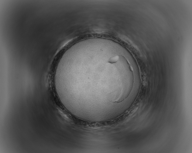 X0000087041208200705160921