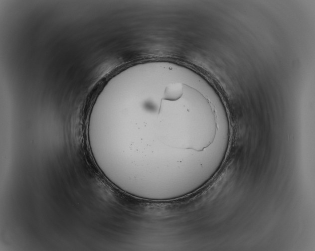 X0000087041211200705160921