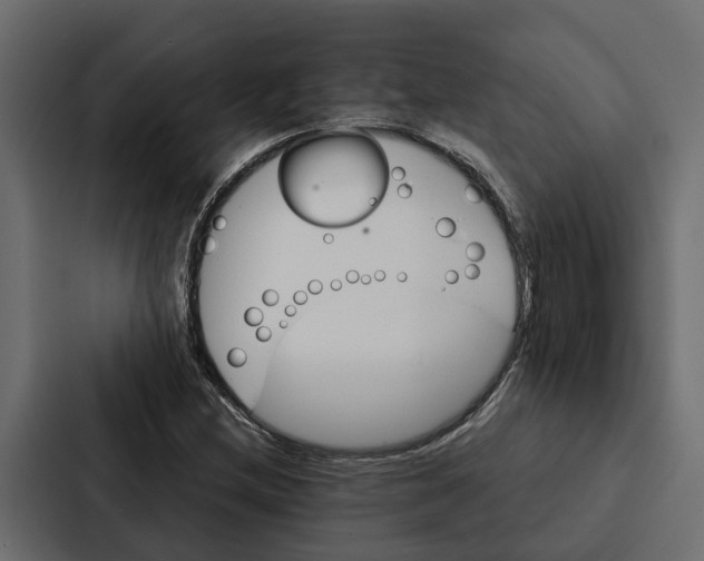 X0000087041212200705160921