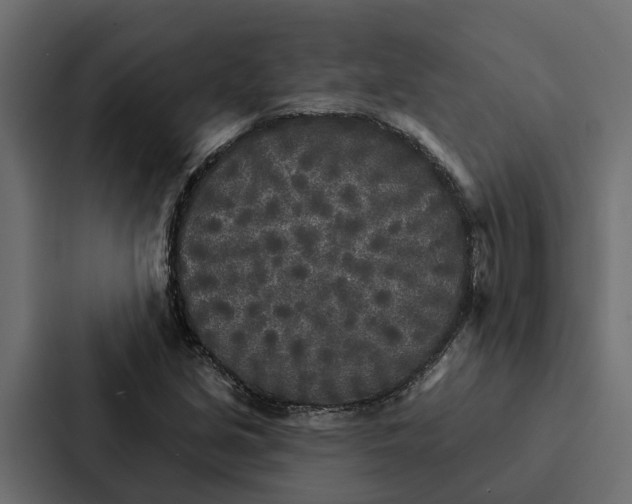 X0000087041213200705160921