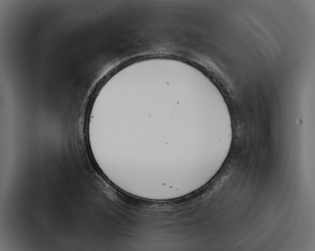 X0000087041216200705160921