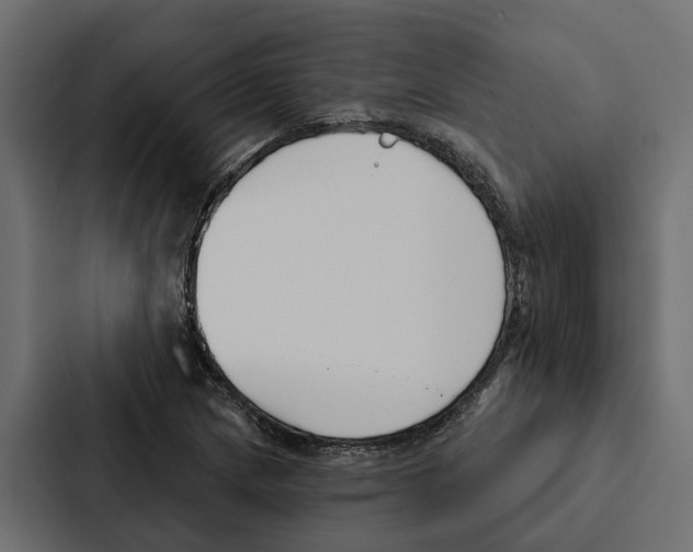 X0000087041217200705160921