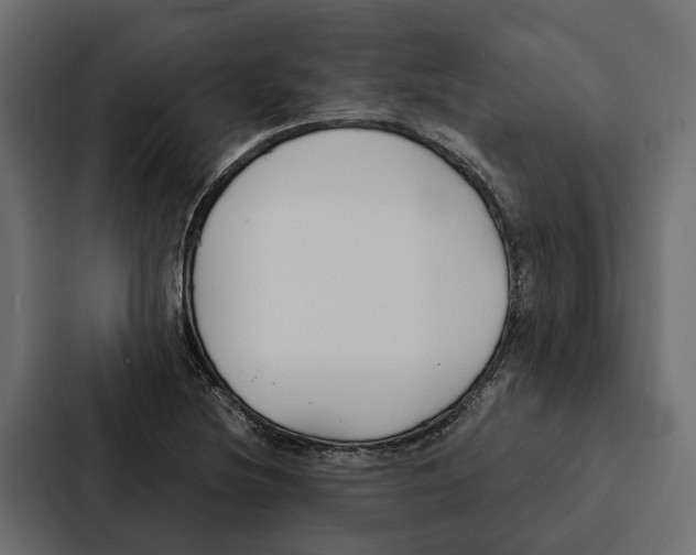 X0000087041220200705160921