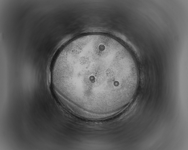 X0000087041221200705160921