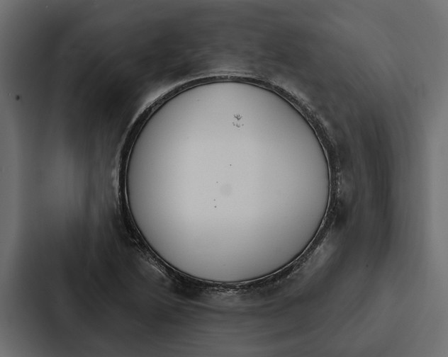 X0000087041222200705160921