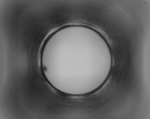 X0000087041224200705160921