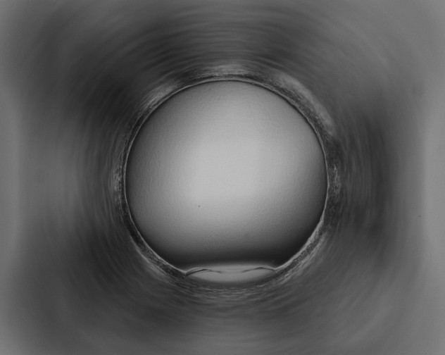 X0000087041225200705160921