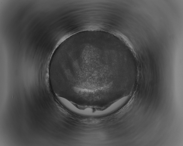 X0000087041226200705160921