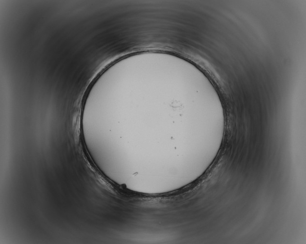 X0000087041228200705160921