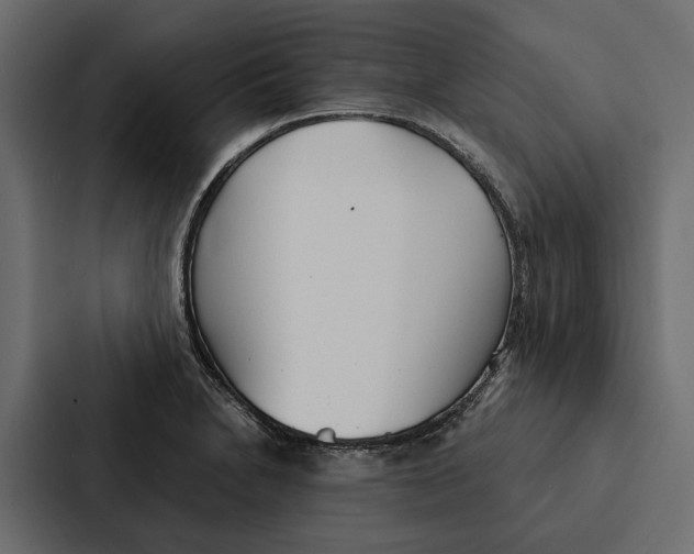 X0000087041230200705160921