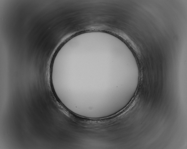 X0000087041232200705160921