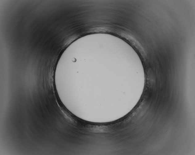 X0000087041233200705160921