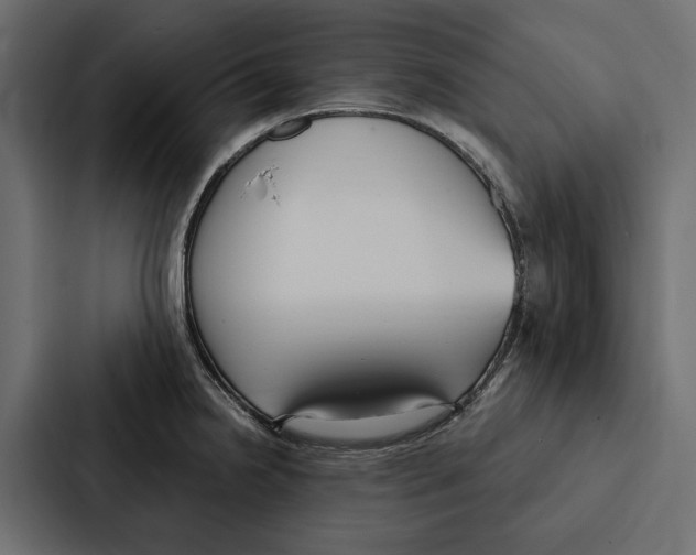 X0000087041238200705160921