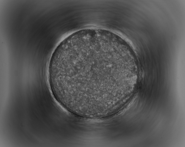 X0000087041239200705160921
