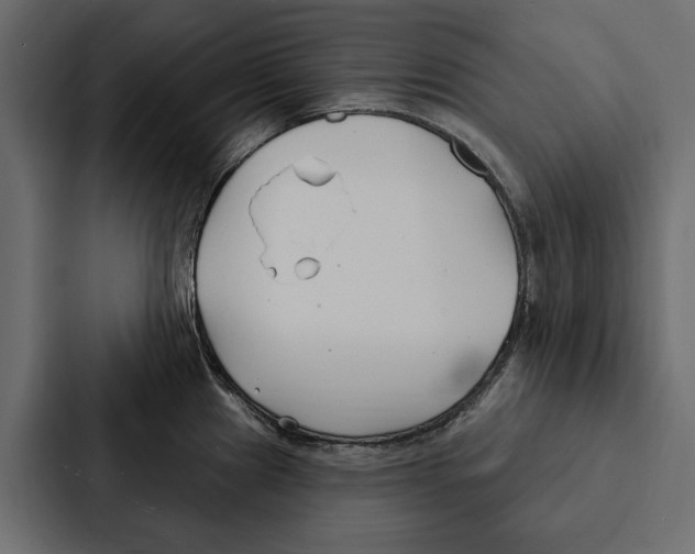 X0000087041241200705160921