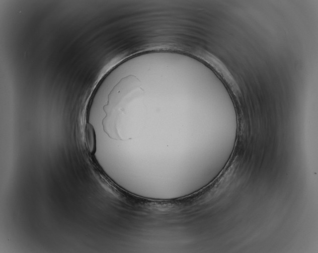 X0000087041242200705160921