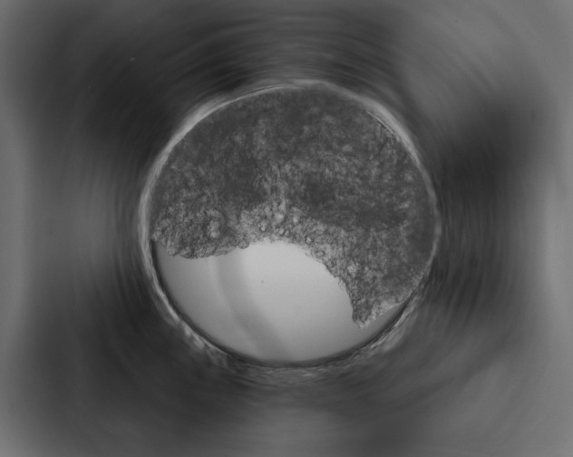 X0000087041243200705160921