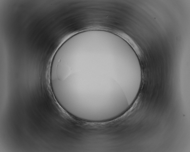 X0000087041244200705160921