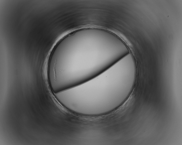 X0000087041246200705160921
