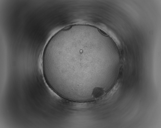 X0000087041247200705160921