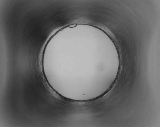X0000087041248200705160921